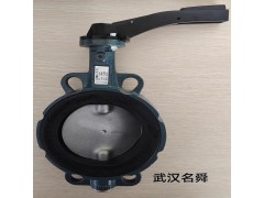 德国罗EBRO依博罗原装手动对夹蝶阀Z011-A DN125图2