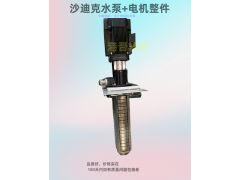 维修格兰富水泵(Greenfield Pump) 沙迪克水泵图2