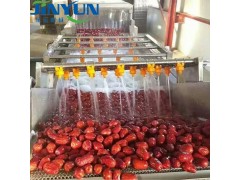 金运牌 酸菜气泡清洗机  多功能果蔬气泡清洗机  红枣清洗机图3