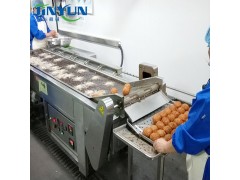 金运牌 油条油炸机 鸡米花油炸机图3